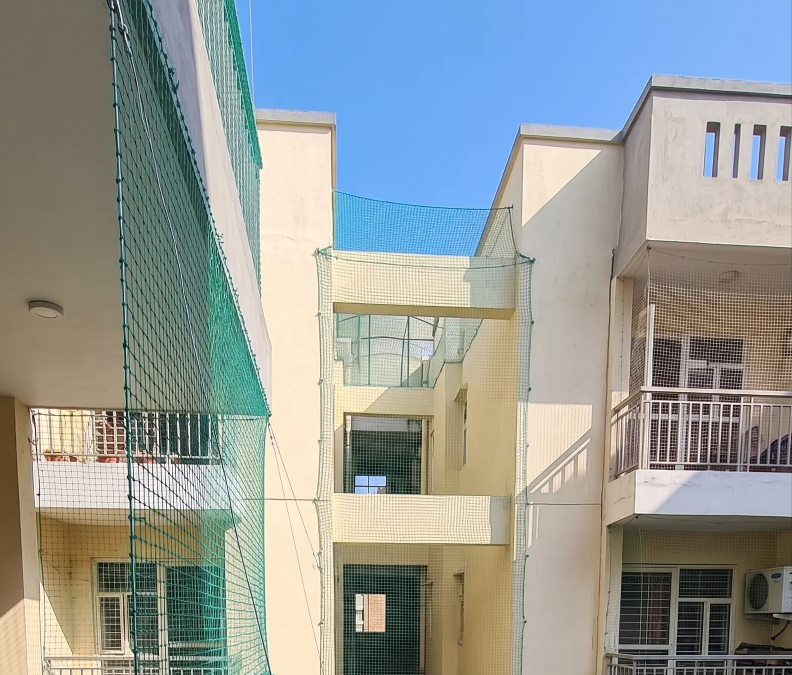 Bird Netting Services